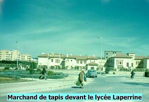 LYCEE LAPERRINE ETLE MARCHAND DE TAPIS